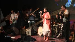 Hejira  Joni Mitchell cover  Robin Adler amp Mutts of the Planet [upl. by Alekal460]