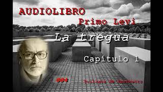 La Tregua  Primo Levi  AudioLibro  Capítulo 1  El deshielo [upl. by Dalury847]