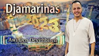 DJAMARINAS Awi Den Deyithbiren Live 2023 [upl. by Trescott]