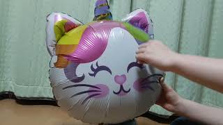 Mylar balloon cat inflating and popping [upl. by Krahling]