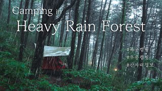 4K Solo Camping in Heavy Rain Forest  Landslide warning due to heavy rain  Rain sound ASMR [upl. by Marena]