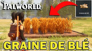 OBTENIR DES GRAINE DE BLÉ  PALWORLD [upl. by Athal]