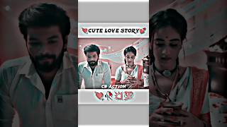 LOVE MARRIAGE STORY💕 LOVE BIRDS🥀shorts love viral lovestatus [upl. by Anowahs]