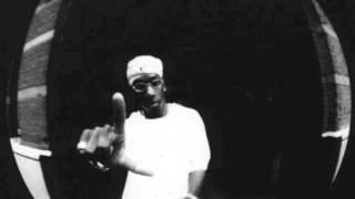 Big L  Put it on Devaloop Remix [upl. by Aloek]