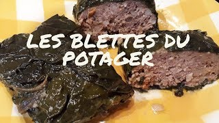 PETITS FARCIS aux BLETTES façon POPOTE En direct du Potager [upl. by Attwood]