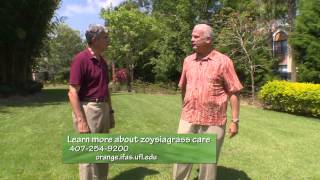 Central Florida GardeningZoysiagrass [upl. by Nico]