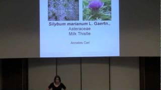 Silybum marianum Milk Thistle [upl. by Maryanne]