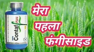 Hexaconazole 5 ec  fungicide फफूंदनाशक  best fungicide hexaconazole  kisan tv [upl. by Eiddal]