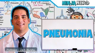 Pneumonia  Overview [upl. by Druci]