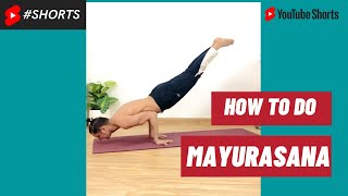 How to do Mayurasana  SHORTS [upl. by Curley778]