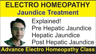 Advance Electro Homeopathic class Jaundice Treatment  BEMS [upl. by Annuahsal743]