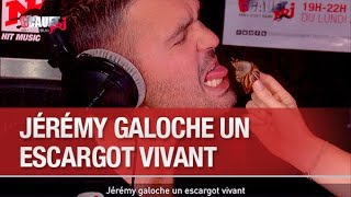 Jérémy galoche un escargot vivant  C’Cauet sur NRJ [upl. by Denae]