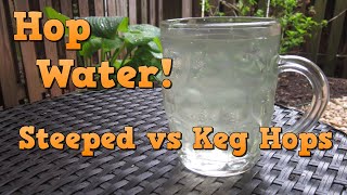 How to Make Hop Water Steeped vs Keg Hopped [upl. by Eeuqram545]