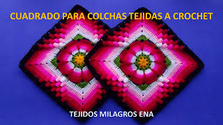 Como tejer el Cuadrado o muestra de colores N° 12 a crochet para colchas y cojines paso a paso [upl. by Longley844]