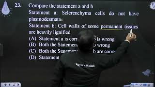 Compare the statement a and b Statement a Sclerenchyma cells do not have plasmodesmata Statemen [upl. by Enyaz359]