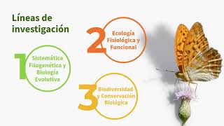 Doctorado Sistematica y Biodiversidad 2024 [upl. by Innor]