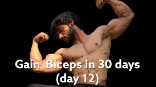 BICEPS को 30 दिनों में तगड़ा करे  Anabolics Steroid के बाद बॉडी maintain कैसे करे day 12 [upl. by Kaylee]