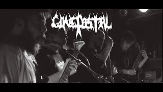 Gone Postal Live  Reykjavík Deathfest 2018 [upl. by Aer141]