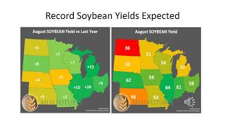 8 20 20 CFS Grain Market Outlook [upl. by Haimerej]