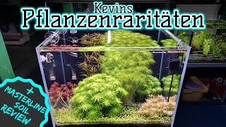 Wasserpflanzen Raritäten  Dünger für fast jedes Soil Aquarium  Masterline Soil Review [upl. by Noyk]