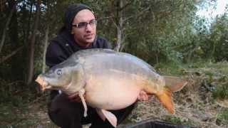 Team Korda  Carp Sens 2013 [upl. by Damick813]