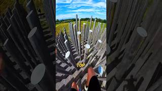 Never Climb Such Poles shortsvideo [upl. by Berneta]