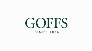 Goffs UK  January Sale 2023  Day 2 [upl. by Nnylsaj]