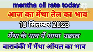 10 सितंबर 2023  मेंथा तेल का आज का भाव  mentha oil rate today menthaoilratet [upl. by Aitekram]