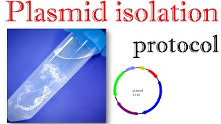 Plasmid isolation protocol [upl. by Kcirdaed139]