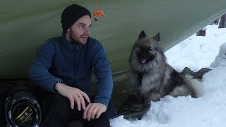 Wet Winter Camping With My Dog [upl. by Anaerb]