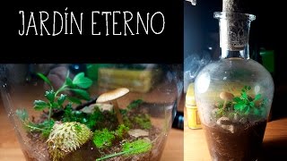 Tutorial Jardín dentro de una botella sellada [upl. by Cormick816]