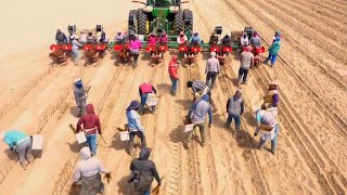 Farm Jobs That Americans Never Do  American Farming [upl. by Berenice936]