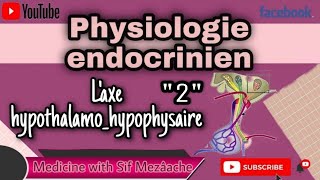 12 Axe Hypothalamo Hypophysaire  Partie 02  Physiologie 2éme MED [upl. by Llenol]