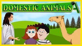 Name Of Domestic Animals Song for kids [upl. by Shuping872]