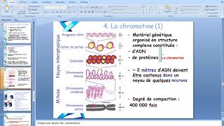 Cytologieبالعربية  3 La Membrane Plasmique  Part 4 Les Systèmes De Jonction [upl. by Laicram677]