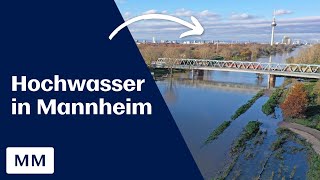 Hochwasser in Mannheim Wasser tritt über Neckarufer [upl. by Richy]