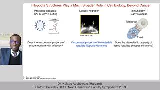 Towards Mechanoimmunology for Precision ImmunoOncology [upl. by Darnoc]