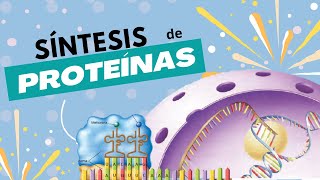 Síntesis de Proteínas  En menos de 10 minutos ⚡ [upl. by Anetsirk]