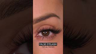 TIPS amp TRICKS False Lash Application  Shonagh Scott shorts [upl. by Asiat]