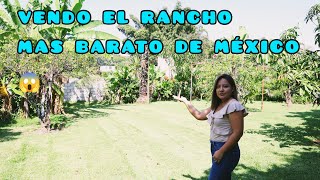 VENTA DE PRECIOSO RANCHO A PRECIO DE CASA 😱🤑 [upl. by Ydurt581]