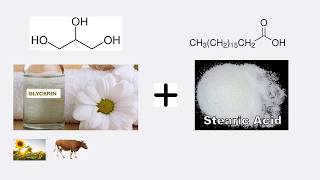 What Is Glyceryl Stearate And Is It Safe To Use [upl. by Anis]