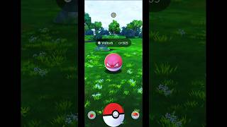 Catching Voltorb ⭐⭐ in Pokemon GO  Indonesia Gameplay  Shorts PokemonGO PokeGOWorthy [upl. by Toma]