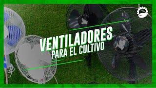 ¿QUÉ VENTILADOR ELEGIR PARA UN CULTIVO INTERIOR [upl. by Beverie]