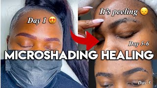 MICROSHADING HEALING DAY BY DAY PROCESS [upl. by Whang]