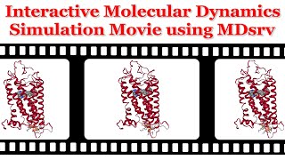 Interactive Molecular Dynamics Simulation Movie using MDsrv [upl. by Fidelio]