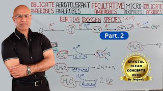 Aerobic And Anaerobic Bacteria  Bacterial Oxygen Requirements  Part 2 [upl. by Fair]