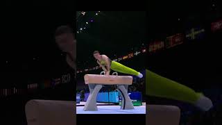 Rhys McClenaghan Pommel Horse Gold  World Gymnastics Championships 2023 🥇 [upl. by Eivets]