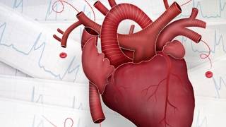 Main Signssymptom of Heart Diseaseमुटु रोगका प्रमुख १४ लक्षणहरु [upl. by Rento]