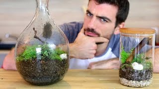 Et si on faisait un terrarium  Jardin DIY fermé en bocal [upl. by Oralla]