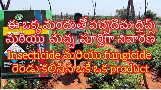 Insecticide మరియు fungicide రెండు కలిసిన మందు మచ్చ దోమ పూర్తిగా నివారణtamoto 🍅🍅 [upl. by Llewop]